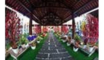 Khai trương nhà hàng Bụi