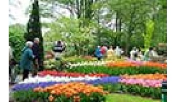 Phố hoa Đà Lạt