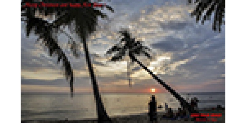 Khu nghỉ dưỡng Coco Palm Phú Quốc