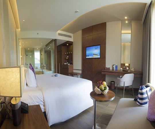 Phòng cổ điển hướng thành phố giường King (Classic City View King Room)