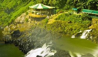 Mùa hoa phấn phủ hồng trời Bảo Lộc